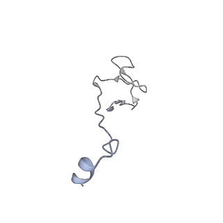 4088_5lmx_I_v1-3
Monomeric RNA polymerase I at 4.9 A resolution