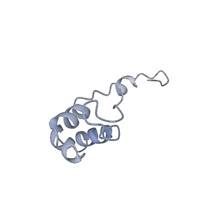 4088_5lmx_J_v1-3
Monomeric RNA polymerase I at 4.9 A resolution
