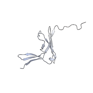 4088_5lmx_M_v1-3
Monomeric RNA polymerase I at 4.9 A resolution
