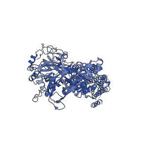0924_6ln5_A_v1-2
CryoEM structure of SERCA2b T1032stop in E1-2Ca2+-AMPPCP (class1)