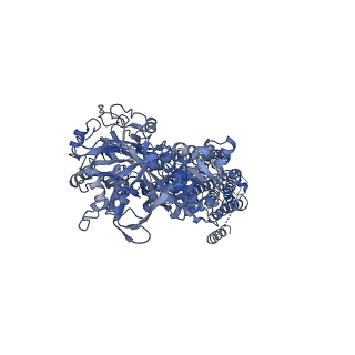 0925_6ln6_A_v1-2
CryoEM structure of SERCA2b T1032stop in E1-2Ca2+-AMPPCP (class2)