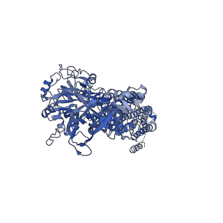 0926_6ln7_A_v1-2
CryoEM structure of SERCA2b T1032stop in E1-2Ca2+-AMPPCP (class3)