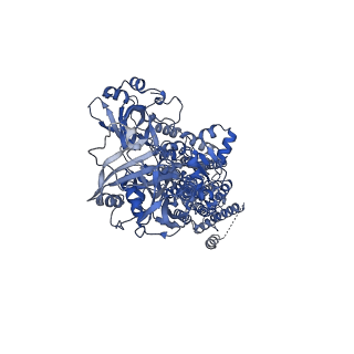 0927_6ln8_A_v1-2
CryoEM structure of SERCA2b T1032stop in E2-BeF3- state (class1)