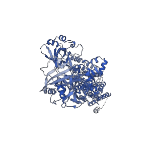 0927_6ln8_A_v1-3
CryoEM structure of SERCA2b T1032stop in E2-BeF3- state (class1)