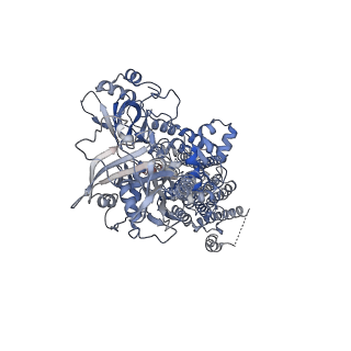 0928_6ln9_A_v1-2
CryoEM structure of SERCA2b T1032stop in E2-BeF3- state (class2)