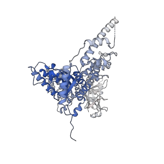 23444_7ln0_A_v1-0
Cryo-EM structure of human p97 in complex with Npl4/Ufd1 and Ub6 (Class 2)