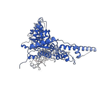 23444_7ln0_B_v1-0
Cryo-EM structure of human p97 in complex with Npl4/Ufd1 and Ub6 (Class 2)