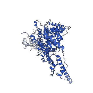 23444_7ln0_C_v1-0
Cryo-EM structure of human p97 in complex with Npl4/Ufd1 and Ub6 (Class 2)