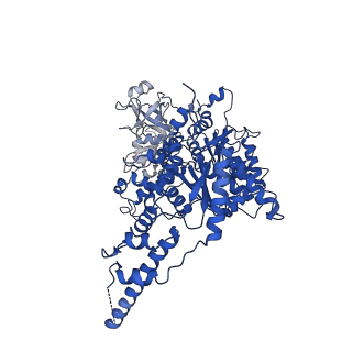 23444_7ln0_D_v1-0
Cryo-EM structure of human p97 in complex with Npl4/Ufd1 and Ub6 (Class 2)