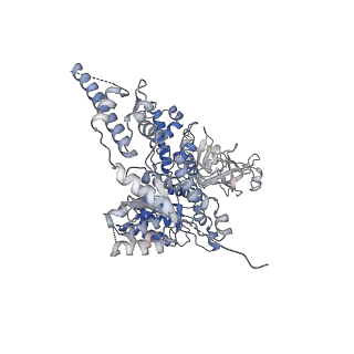 23444_7ln0_F_v1-0
Cryo-EM structure of human p97 in complex with Npl4/Ufd1 and Ub6 (Class 2)