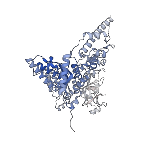 23445_7ln1_A_v1-0
Cryo-EM structure of human p97 in complex with Npl4/Ufd1 and Ub6 (Class 3)