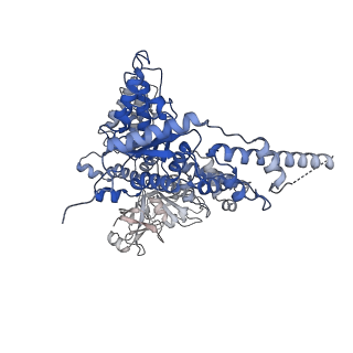 23445_7ln1_B_v1-0
Cryo-EM structure of human p97 in complex with Npl4/Ufd1 and Ub6 (Class 3)