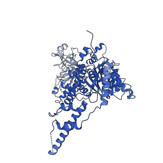 23445_7ln1_D_v1-0
Cryo-EM structure of human p97 in complex with Npl4/Ufd1 and Ub6 (Class 3)
