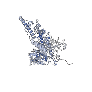 23445_7ln1_F_v1-0
Cryo-EM structure of human p97 in complex with Npl4/Ufd1 and Ub6 (Class 3)