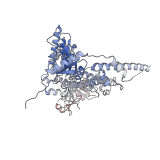 23446_7ln2_A_v1-0
Cryo-EM structure of human p97 in complex with Npl4/Ufd1 and polyubiquitinated Ub-Eos (FOM, Class 1)
