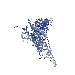 23446_7ln2_B_v1-0
Cryo-EM structure of human p97 in complex with Npl4/Ufd1 and polyubiquitinated Ub-Eos (FOM, Class 1)