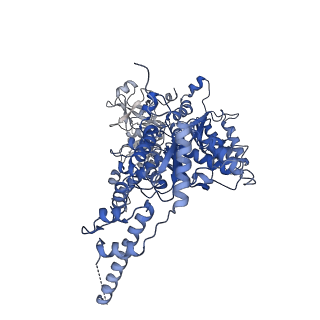 23446_7ln2_C_v1-0
Cryo-EM structure of human p97 in complex with Npl4/Ufd1 and polyubiquitinated Ub-Eos (FOM, Class 1)