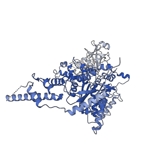 23446_7ln2_D_v1-0
Cryo-EM structure of human p97 in complex with Npl4/Ufd1 and polyubiquitinated Ub-Eos (FOM, Class 1)