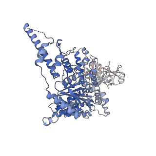 23446_7ln2_E_v1-0
Cryo-EM structure of human p97 in complex with Npl4/Ufd1 and polyubiquitinated Ub-Eos (FOM, Class 1)