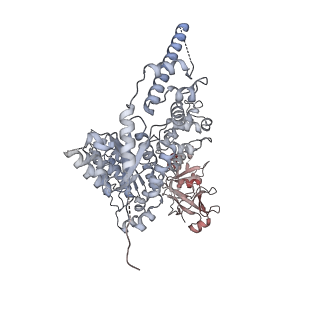 23446_7ln2_F_v1-0
Cryo-EM structure of human p97 in complex with Npl4/Ufd1 and polyubiquitinated Ub-Eos (FOM, Class 1)