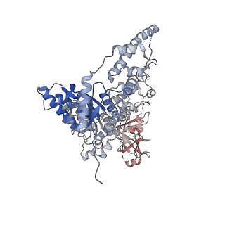 23447_7ln3_A_v1-0
Cryo-EM structure of human p97 in complex with Npl4/Ufd1 and polyubiquitinated Ub-Eos (FOM, Class 2)