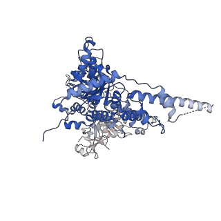 23447_7ln3_B_v1-0
Cryo-EM structure of human p97 in complex with Npl4/Ufd1 and polyubiquitinated Ub-Eos (FOM, Class 2)