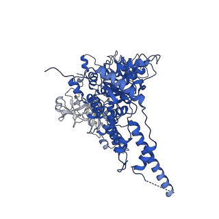 23447_7ln3_C_v1-0
Cryo-EM structure of human p97 in complex with Npl4/Ufd1 and polyubiquitinated Ub-Eos (FOM, Class 2)