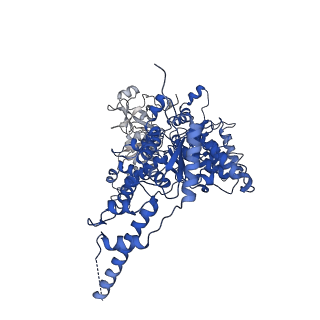 23447_7ln3_D_v1-0
Cryo-EM structure of human p97 in complex with Npl4/Ufd1 and polyubiquitinated Ub-Eos (FOM, Class 2)