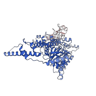 23447_7ln3_E_v1-0
Cryo-EM structure of human p97 in complex with Npl4/Ufd1 and polyubiquitinated Ub-Eos (FOM, Class 2)