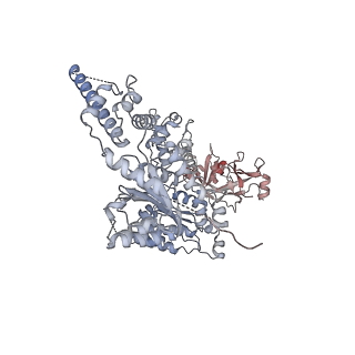 23447_7ln3_F_v1-0
Cryo-EM structure of human p97 in complex with Npl4/Ufd1 and polyubiquitinated Ub-Eos (FOM, Class 2)