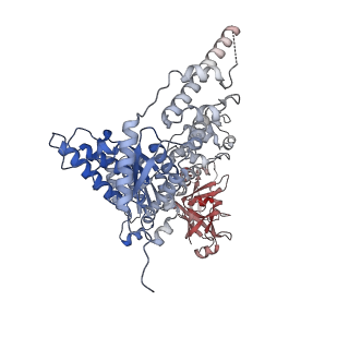 23448_7ln4_A_v1-0
Cryo-EM structure of human p97 in complex with Npl4/Ufd1 and polyubiquitinated Ub-Eos (FOM, Class 3)