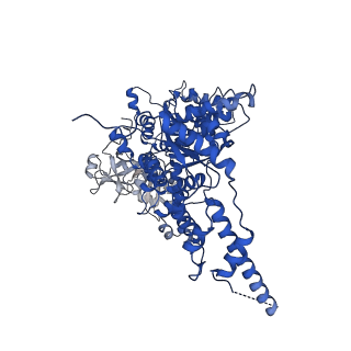 23448_7ln4_C_v1-0
Cryo-EM structure of human p97 in complex with Npl4/Ufd1 and polyubiquitinated Ub-Eos (FOM, Class 3)