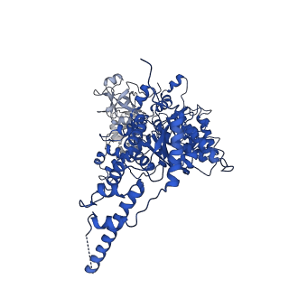 23448_7ln4_D_v1-0
Cryo-EM structure of human p97 in complex with Npl4/Ufd1 and polyubiquitinated Ub-Eos (FOM, Class 3)