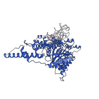 23448_7ln4_E_v1-0
Cryo-EM structure of human p97 in complex with Npl4/Ufd1 and polyubiquitinated Ub-Eos (FOM, Class 3)