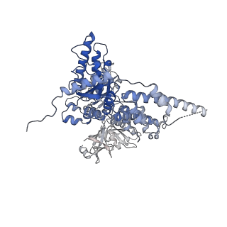 23449_7ln5_A_v1-0
Cryo-EM structure of human p97 in complex with Npl4/Ufd1 and polyubiquitinated Ub-Eos (CHAPSO, Class 1, Close State)