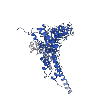 23449_7ln5_B_v1-0
Cryo-EM structure of human p97 in complex with Npl4/Ufd1 and polyubiquitinated Ub-Eos (CHAPSO, Class 1, Close State)