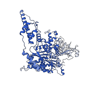 23449_7ln5_E_v1-0
Cryo-EM structure of human p97 in complex with Npl4/Ufd1 and polyubiquitinated Ub-Eos (CHAPSO, Class 1, Close State)