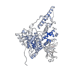 23449_7ln5_F_v1-0
Cryo-EM structure of human p97 in complex with Npl4/Ufd1 and polyubiquitinated Ub-Eos (CHAPSO, Class 1, Close State)