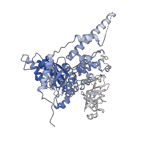 23450_7ln6_A_v1-0
Cryo-EM structure of human p97 in complex with Npl4/Ufd1 and polyubiquitinated Ub-Eos (CHAPSO, Class 2, Open State)