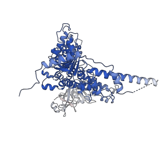 23450_7ln6_B_v1-0
Cryo-EM structure of human p97 in complex with Npl4/Ufd1 and polyubiquitinated Ub-Eos (CHAPSO, Class 2, Open State)