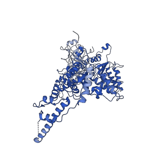 23450_7ln6_D_v1-0
Cryo-EM structure of human p97 in complex with Npl4/Ufd1 and polyubiquitinated Ub-Eos (CHAPSO, Class 2, Open State)