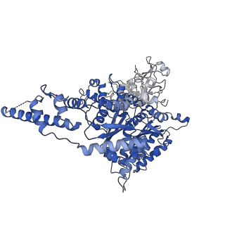 23450_7ln6_E_v1-0
Cryo-EM structure of human p97 in complex with Npl4/Ufd1 and polyubiquitinated Ub-Eos (CHAPSO, Class 2, Open State)