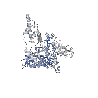 23450_7ln6_F_v1-0
Cryo-EM structure of human p97 in complex with Npl4/Ufd1 and polyubiquitinated Ub-Eos (CHAPSO, Class 2, Open State)
