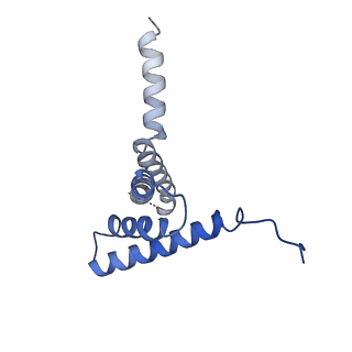 0935_6lo8_A_v1-1
Cryo-EM structure of the TIM22 complex from yeast