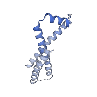 0935_6lo8_C_v1-1
Cryo-EM structure of the TIM22 complex from yeast