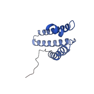 0935_6lo8_D_v1-1
Cryo-EM structure of the TIM22 complex from yeast