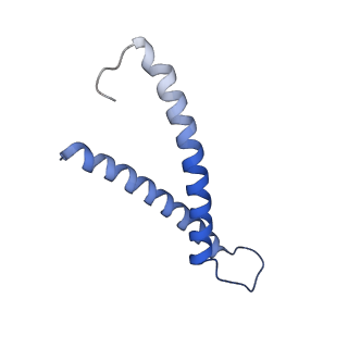 0935_6lo8_E_v1-1
Cryo-EM structure of the TIM22 complex from yeast