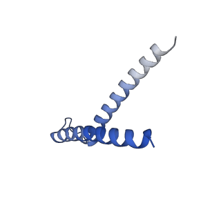 0935_6lo8_G_v1-1
Cryo-EM structure of the TIM22 complex from yeast