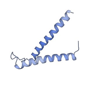 0935_6lo8_H_v1-1
Cryo-EM structure of the TIM22 complex from yeast