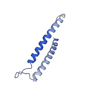 0935_6lo8_I_v1-1
Cryo-EM structure of the TIM22 complex from yeast